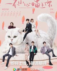 Bất Cẩn Meow Phải Anh