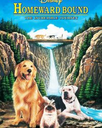 Homeward Bound: The Incredible Journey